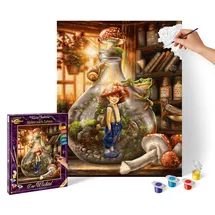 Schipper Malen nach Zahlen - Der Wichtel