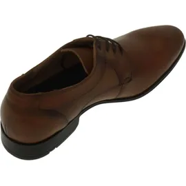 LLOYD Osmond braun 47