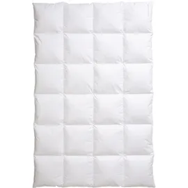 Centa-Star AMBIENTE warm,