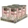 LEONARDO Lachs mit extra Filet 6 x 400 g