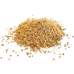 Vollkorn-Quinoa aus Deutschland - bio & roh (1kg)