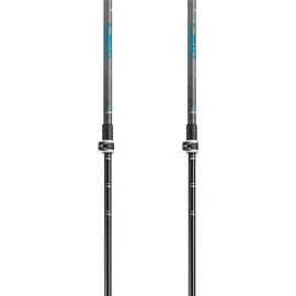 Leki Guide Lite 2 Skistöcke, Silvergray-Petrol-Black, 110-145cm