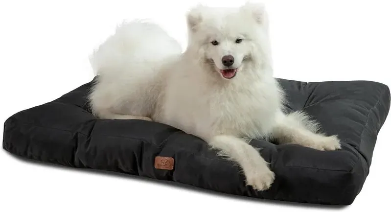 BEDSURE Großes, waschbares Hundekissen, 120 x 90 cm XXL, für große und mittelgroße Hunde, gepolstertes Outdoor-Hundebett, tiefschwarz, 10 cm hoch, XL Kühlmatte für Haustiere