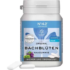 Hager Pharma Gmbh Selbstvertrauen Kaugummi 40 St