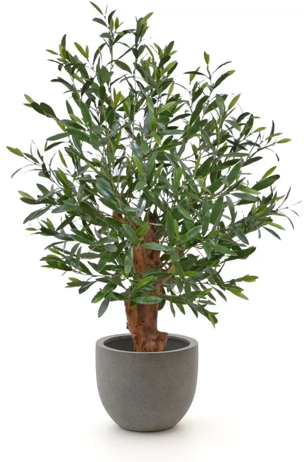 Designplants/Luca Lifestyle Oliven Bonsai Kunstpflanze (h:90 cm) mit Grigio New Egg Blumentopf