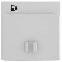 Busch-Jaeger Zentralscheibe für USB Ladestation Einsatz (Edelstahl)