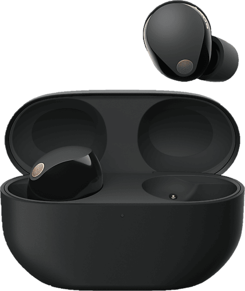 Sony WF-1000XM5 Kabellose Noise Cancelling Kopfhörer, Bluetooth, In-Ear-Kopfhörer, Mikrofon, bis zu 24 Stunden Akkulaufzeit, Schnellladefunktion, IPX4, iOS & Android kompatibel — Schwarz, klein