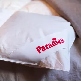 Paradies Daunendecke 155x220 cm Winterdecke Gabi 90" - Weiß