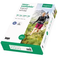 Inapa Recyconomic Papier Trend White A4 80g 2fach gelocht