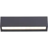 Paul Neuhaus Außenwandleuchte Metall 6,0 cm inkl. LED 1250 lm anthrazit