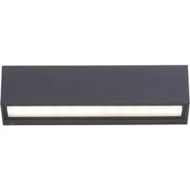 Paul Neuhaus Außenwandleuchte Metall 6,0 cm inkl. LED 1250 lm anthrazit