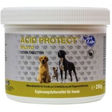 NutriLabs Acid Protect Kautabletten F.hunde