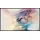 Elite Screens Aeon Edge Free 135" 16:9