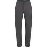 Icebreaker Merino Elevation Stretch Hosen Grau 30