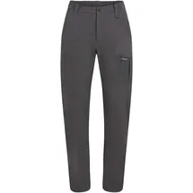 Icebreaker Merino Elevation Stretch Hosen Grau 30