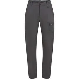 Icebreaker Merino Elevation Stretch Hosen Grau 30