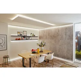 Paulmann MaxLED 250 Silber