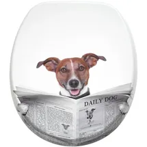 Sanilo WC-Sitz Newspaper Braun