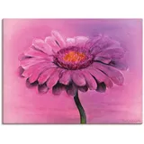 ARTland Leinwandbild »Gerbera«, Blumen, (1 St.), auf Keilrahmen gespannt