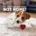 all for paws Heart Beat Sheep