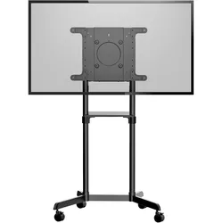 StarTech.com TV Wagen - TV Ständer mit Rollen für 37-70 Zoll VESA-Displays (70kg