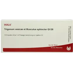Trigonum Vesicae et Musculus sphincter G 10X1 ml
