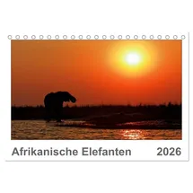 Calvendo Afrikanische Elefanten (Tischkalender 2026 DIN A5 quer), CALVENDO Monatskalender: