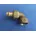 2255 Winkelverschraubung 12 mm x 1/2 IG