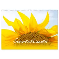 Calvendo Sonnenblumen - die Blumen der Lebensfreude (Wandkalender 2026