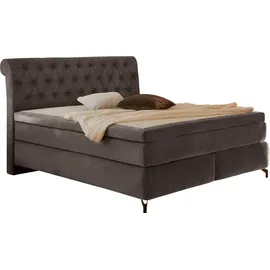 Jockenhöfer Gruppe Boxspringbett »Scarlett mit einer hochwertigen«, (7-Zonen-Tonnentaschen-Federkernmatratze (H3, H3/H4 oder H4), und einem 9cm Kaltschaum-Topper grau