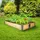 Tectake tectake® Hochbeet, aus Holz, vielseitig nutzbar, 120 x 80 x 19 cm