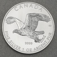Royal Canadian Mint Silbermünze 1oz Birds of Prey - Falcon