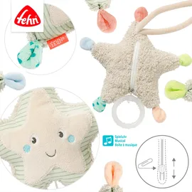 Fehn Mini-Spieluhr Seestern