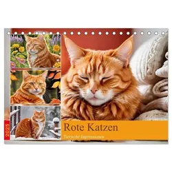 Rote Katzen (Tischkalender 2025 DIN A5 quer), CALVENDO Monatskalender