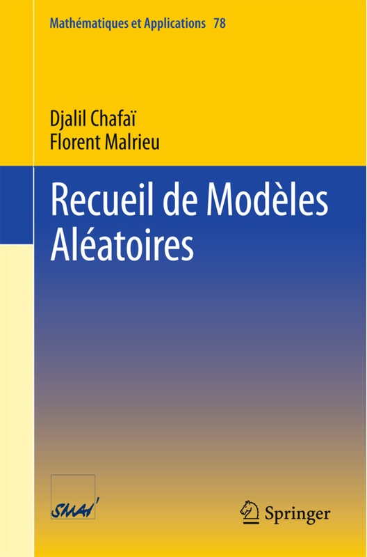 Recueil De Modèles Aléatoires - Djalil Chafai, Florent Malrieu, Kartoniert (TB)