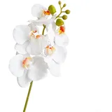 Oniissy Künstliche Blumen Phalaenopsis 45 cm künstliche Orchidee Stängel Blumensträuße weiße Orchidee künstliche Orchidee künstliche Orchidee (weiß)