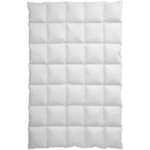Centa-Star Golf von Alaska 200x220cm