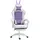 Vinsetto Gaming-Stuhl Violett PC