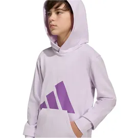 adidas Hoodie Ice Lavender/Active Purple 140
