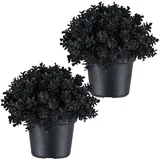 Creativ green Kunstpflanze CREATIV GREEN "Eukalyptus", schwarz, H:13cm, Kunststoff, Kunstpflanzen, Kunstpflanze, in Kugelform