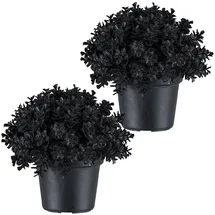 Creativ green Kunstpflanze CREATIV GREEN "Eukalyptus", schwarz, H:13cm, Kunststoff, Kunstpflanzen, Kunstpflanze, in Kugelform