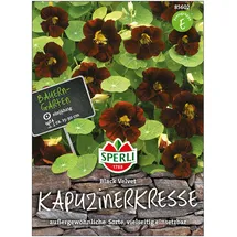 Sperli Blumensamen, Kapuzinerkresse Black Velvet,
