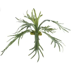 CREATIV green künstliche Pflanze Geweihfarn, 80x80cm, schwer entflammbar