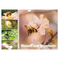 Calvendo Bienen und Hummeln in Aktion (Wandkalender 2026 DIN