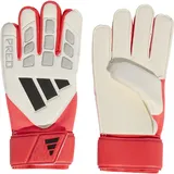 adidas Predator Match White/Lucid Red/Black 7