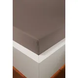 Spannbettlaken BELLANA "Melone in Gr. 70x140, 90x200, 140x200 oder 180x200 cm", braun (kakao), L:200cm, Mako-Jersey, Obermaterial: 100% Baumwolle, Bettlaken, Spannbettlaken, Baumwolle, Matratzen bis 25cm Höhe, Spannbetttuch auch für Kinder