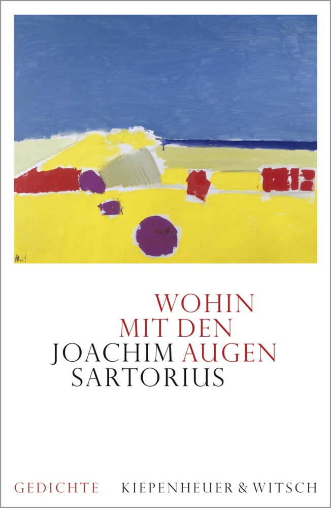 Wohin Mit Den Augen - Joachim Sartorius  Gebunden