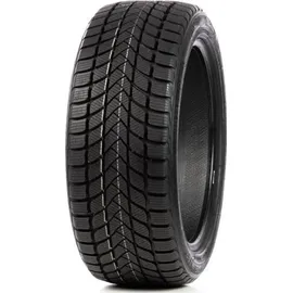 Delinte WD6 205/55 R17 95H