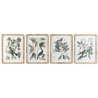 DKD Home Decor Bild 50 x 2,5 x 65 cm Shabby Chic botanische Pflanzen (4 Stück)