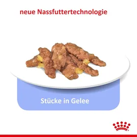 Royal Canin Indoor Sterilised in Jelly 12 x 85 g